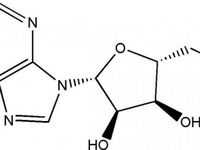 5'-腺苷酸（AMP-H）CAS NO.61-19-8图2