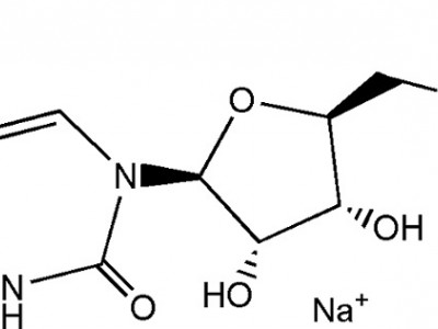 5'-尿苷酸二钠 CAS NO.3387-36-8图2