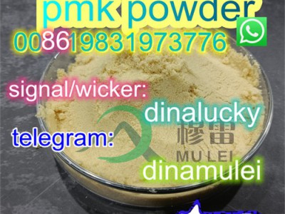 CAS 28578-16-7 New BMK Powder图2