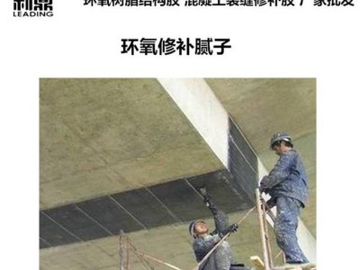 利鼎路面裂缝修补腻子 混凝土桥梁墙面缺陷修补找平腻子图2