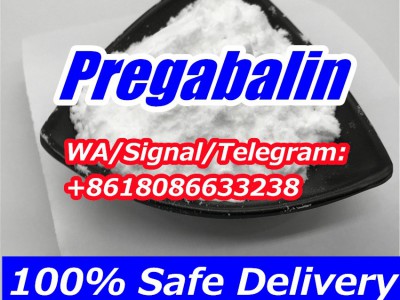 Buy Pregabalin Powder图4