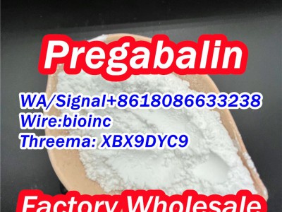 Buy Pregabalin Powder图3