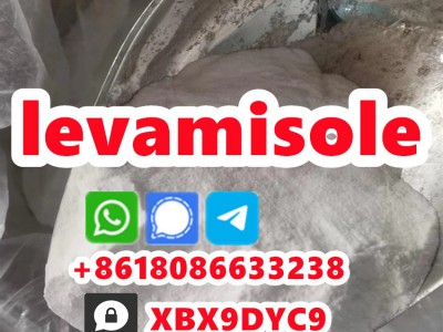 buy Levamisole Hydrochloride图5