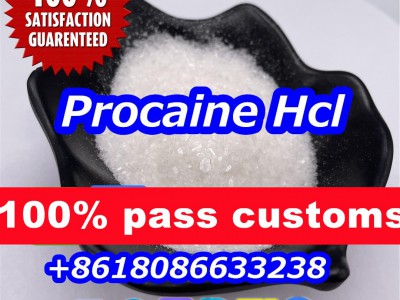 Procaine hcl powder图3