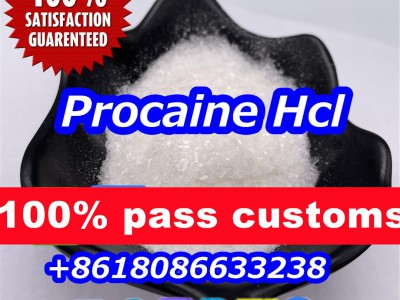 Procaine hcl powder图4