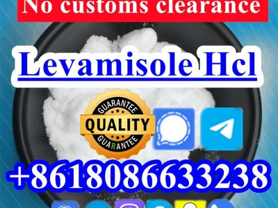 buy levamisole powder图2