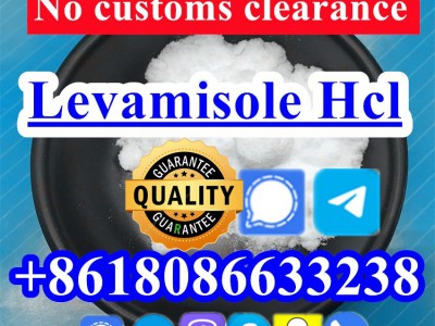 buy levamisole powder图3