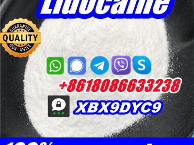 buy lidocaine hcl base powder图5