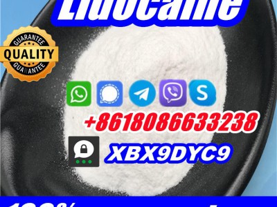 buy lidocaine hcl base powder图2