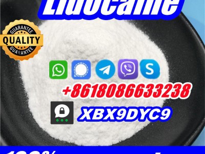 buy lidocaine hcl base powder图3