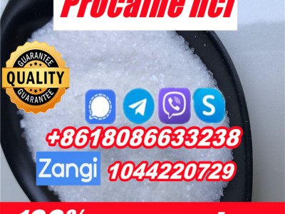 Buy Procaine cas 51-05-8图5