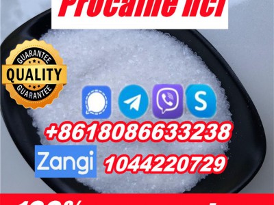 Buy Procaine cas 51-05-8图4