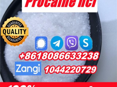 Buy Procaine cas 51-05-8图6