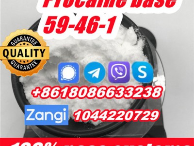 Procaine base 59-46-1 99% top1图3