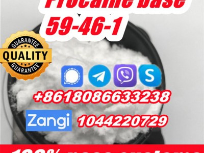 Procaine base 59-46-1 99% top1图2