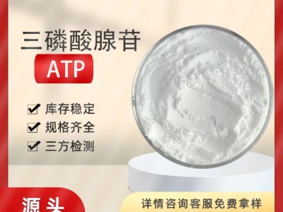 三磷酸腺苷99%  56-65-5 ATP