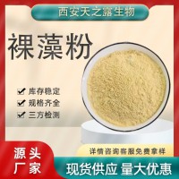 裸藻粉99% 裸藻提取物蛋白质＞20% 绿虫藻粉