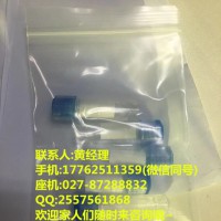 荧光素酶50%浓度专用于科研实验可分装