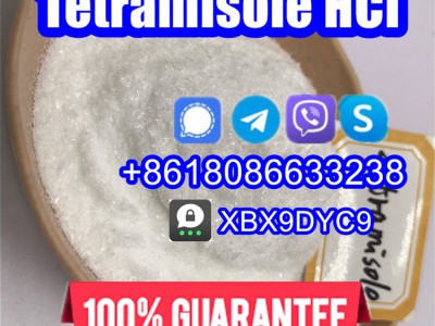 Tetramisole powder