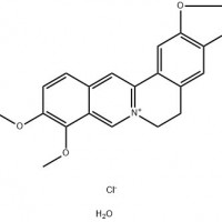 盐酸小檗碱